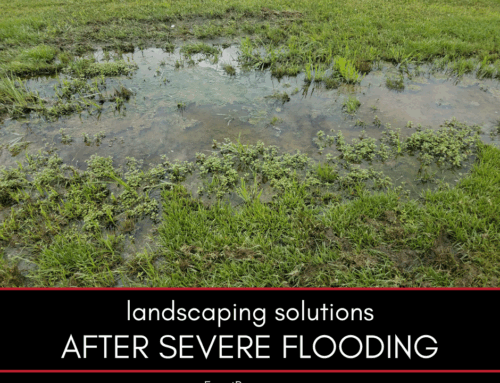 Landscaping Solutions after Severe Flooding