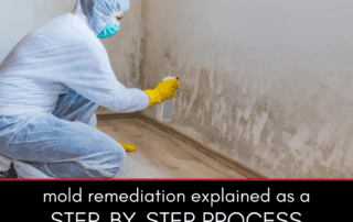 Mold Remediation Explained as a Step by Step Process