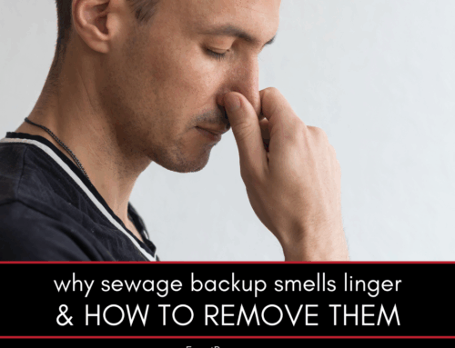 Why Sewage Backup Smells Linger and How to Remove Them