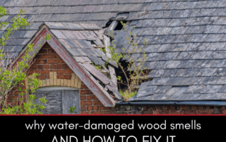 Why Water Damaged Wood Smells and How to Eliminate Odors