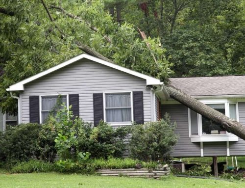 Storm Damage Repair in Southern Michigan: What to Do in the First 24 Hours