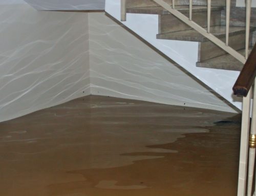 Flooded Basement: What to Do in the First Hour